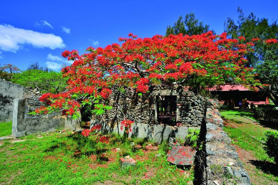 【來去走走】春季（3～5月）是雪東線（雪山主東峰）的熱門登山季節，氣候回暖且高山杜鵑（4～5月）綻放，極適合初學者。春季雪融，路徑較安全，但高海拔仍有寒意與殘雪，需做好防風且保暖的穿搭。重點景觀包括哭坡杜鵑與369山莊春色。
